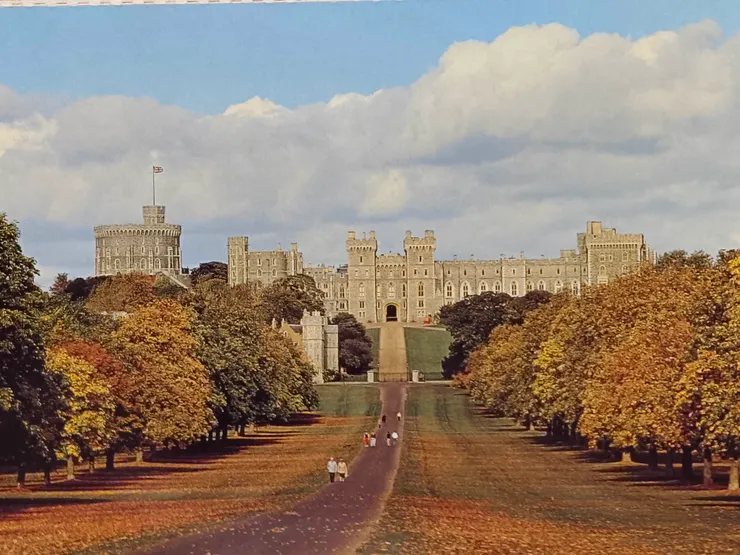 我心心念念的就是這條大道