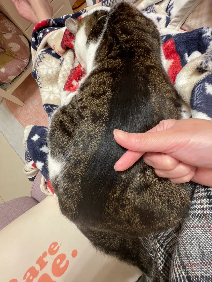 借冰冰之屁，表達我對文友們的愛