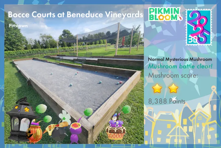 看起來很像是法式滾球的場地（大學有小玩過）