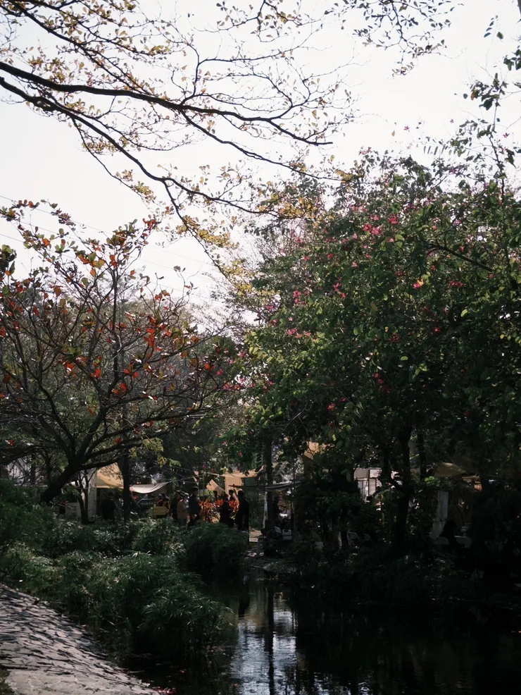 園區內不論是大太陽還是傍晚拍都很漂亮，花草樹木叢立，不擔心沒有好拍的背景。