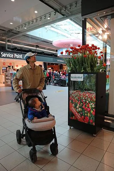 怕機場太大找不到Arrival 4？沒關係，賞花期間機場到處都設有「真的」鬱金香花叢指標，跟著花走準沒錯