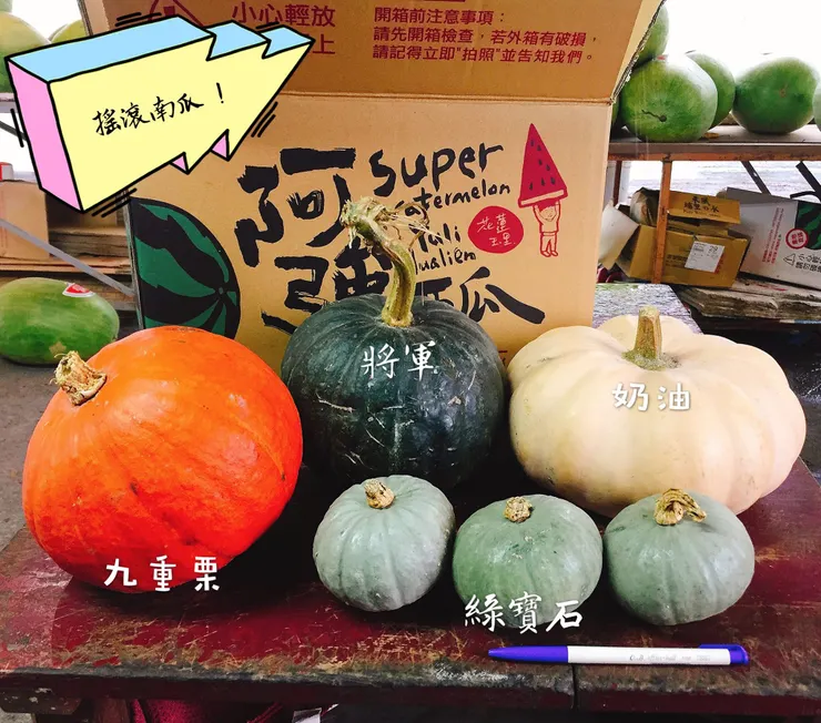 並不是所有南瓜都是萬聖節看到的亮橘色。圖:阿強南瓜