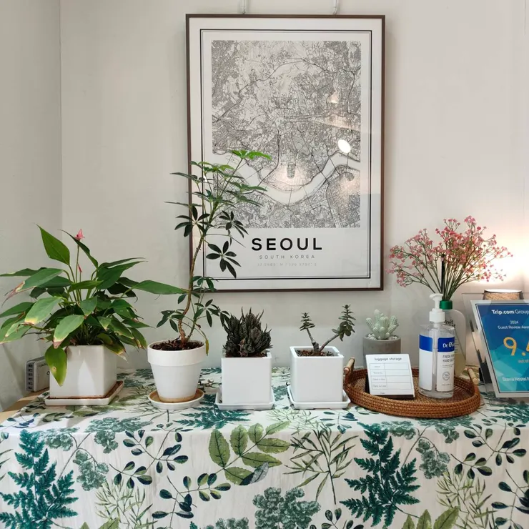 民宿一角有我喜歡的小清新植物擺設