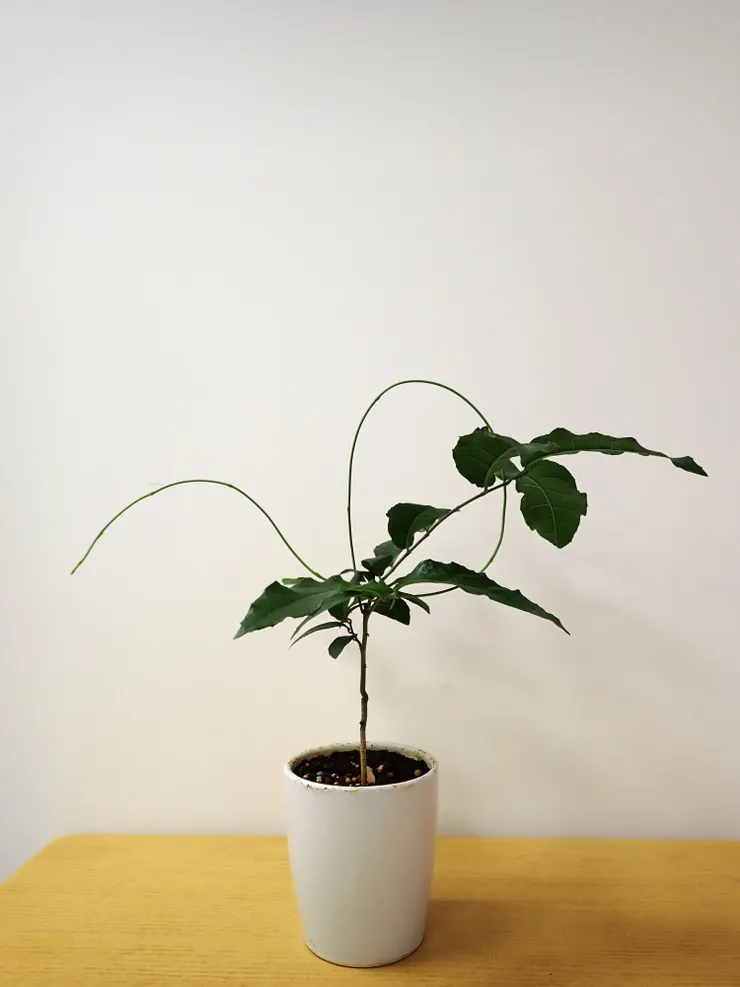 中山社大113.11.07