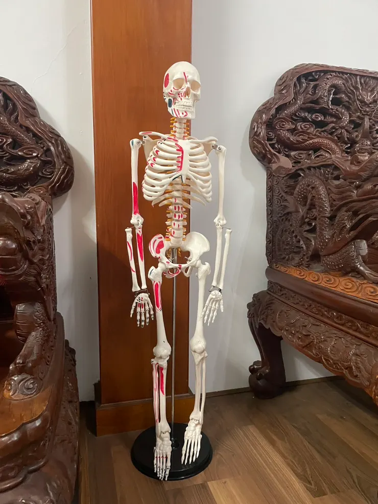 師傅說骨頭人的位置都點錯 XD