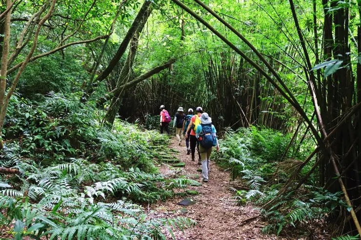 林蔭濃密,適合夏季前往
