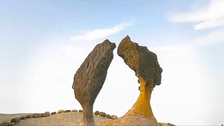 台灣與女王頭的肺部意象