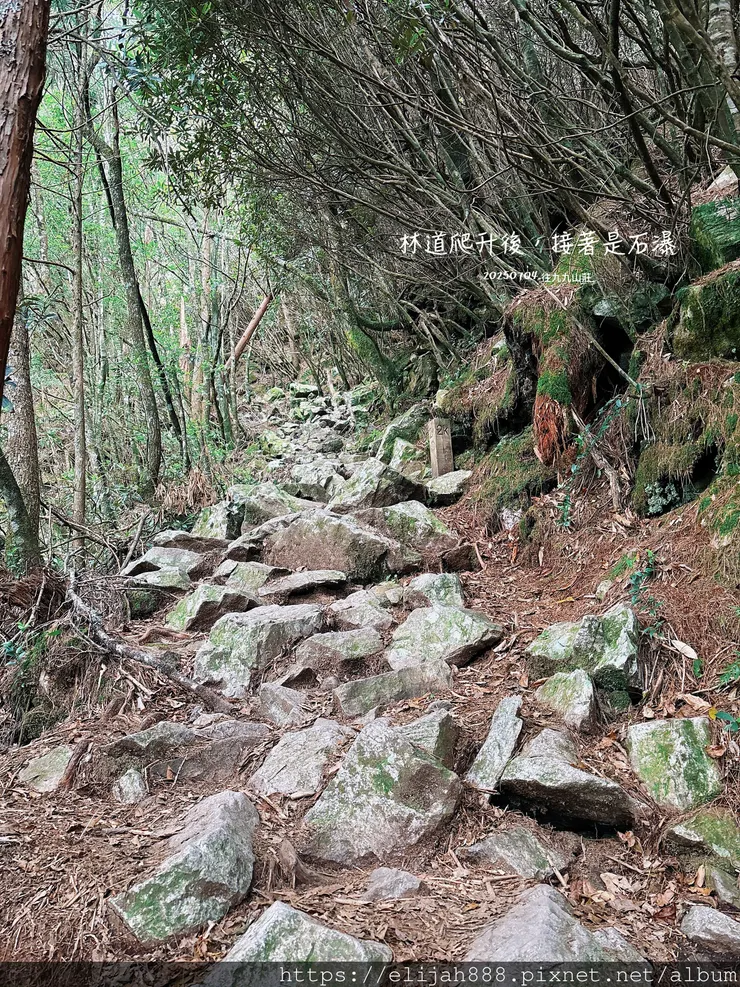 【大霸群峰4百岳。兩天一夜】觀霧大鹿林道東線騎越野單車/馬達