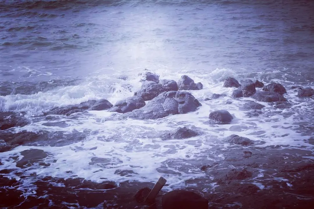 請恕我多說一句愛情。