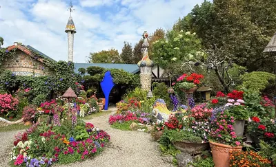 Levance の生活日誌分享