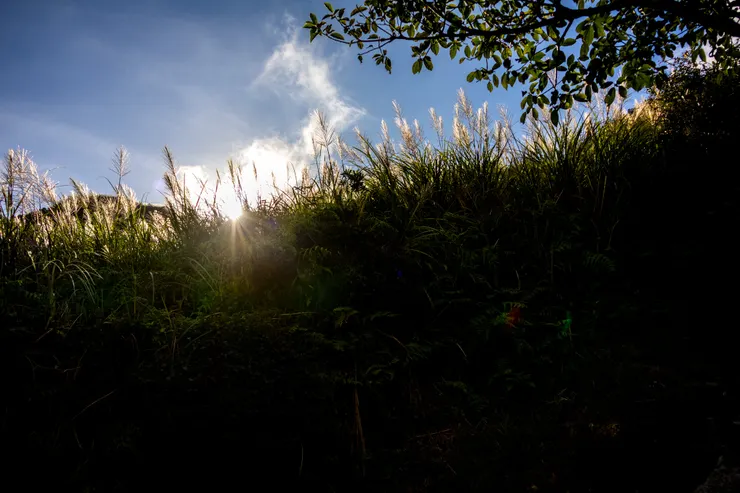 18mm f/3.5 1/4000秒 ISO400