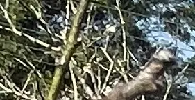 中年憤青的搖滾小窩