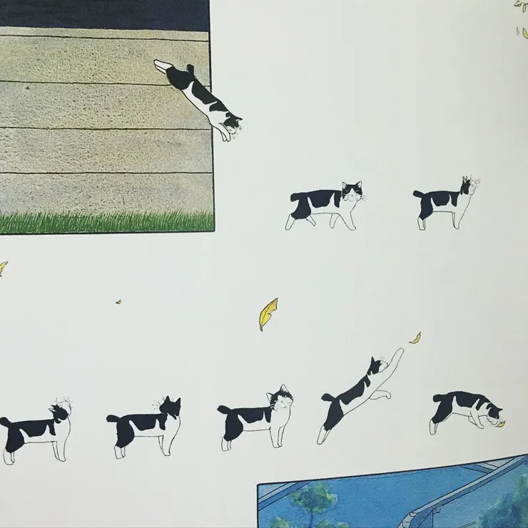 《野貓的研究》