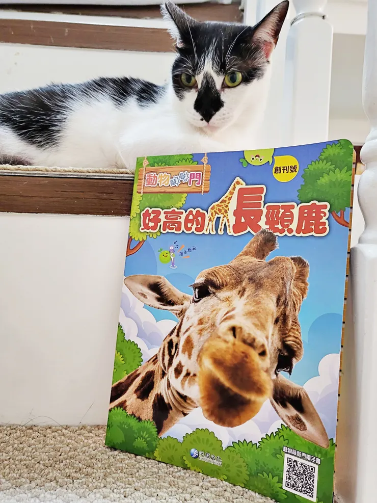 《動物敲敲門月刊》