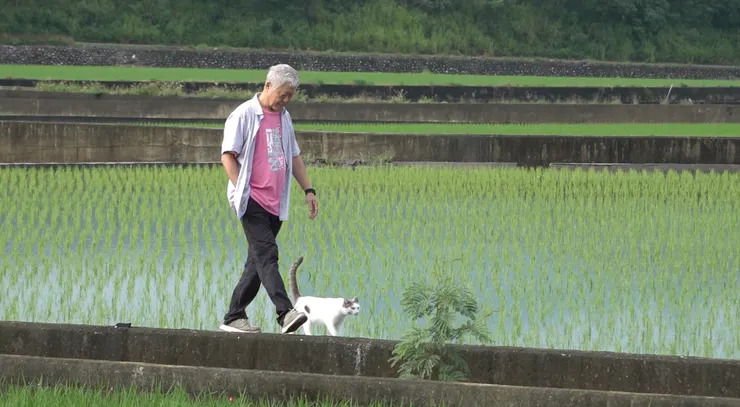 翻拍自書中圖片：牠常常陪伴我在田間走兩小時的路 （蕭菊貞導演提供)