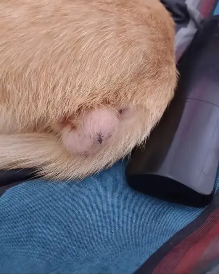 2025/09/27 看到搞笑的圖片