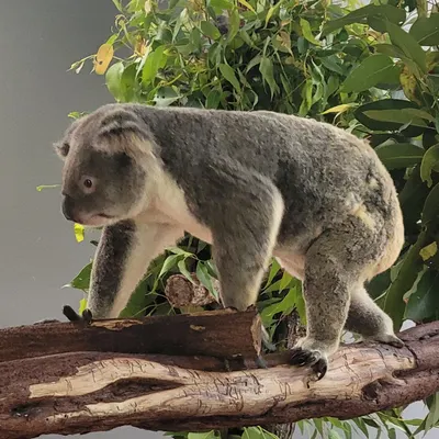 什麼都來一點的旅行玩家的沙龍