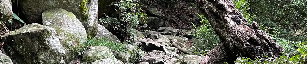 隨和不隨便﹦為人生築夢