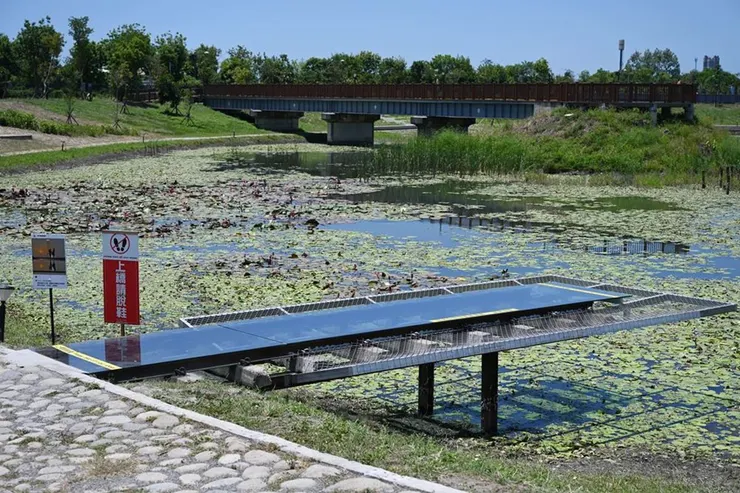 生態池有設置１座玻璃橋，讓遊客能上橋拍下美照。（圖片來源：快樂的過每一天）