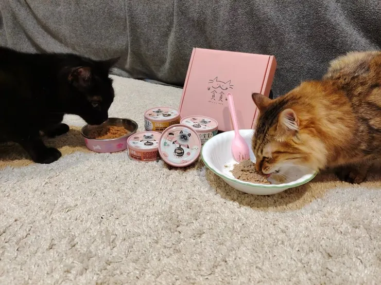 圖說：貪貪Munchee關注動物福祉，全系列機能主食罐開發出三種質地口感，共同守護貓咪的腎臟健康。（資料來源：貪貪Munchee）