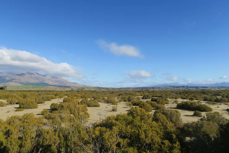這散落的陣仗，很像棋盤。