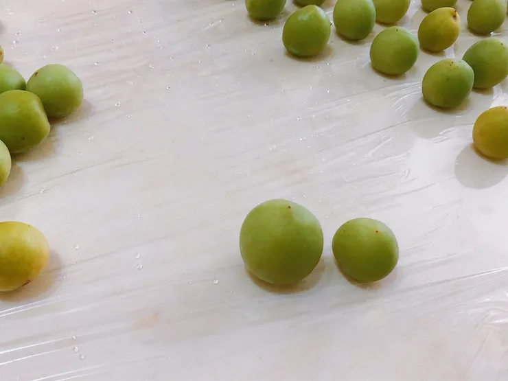 不同 size 的梅子，有種萌感