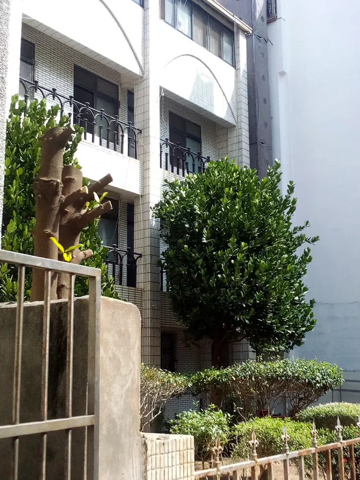 作者提供，以下都是