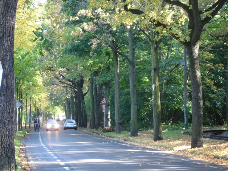 設置自行車保護車道的雙向車道