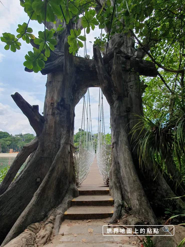 美麗的白色吊橋