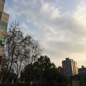 住在台中的台中人的沙龍