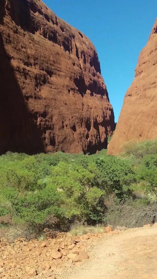風之谷應該是這一張