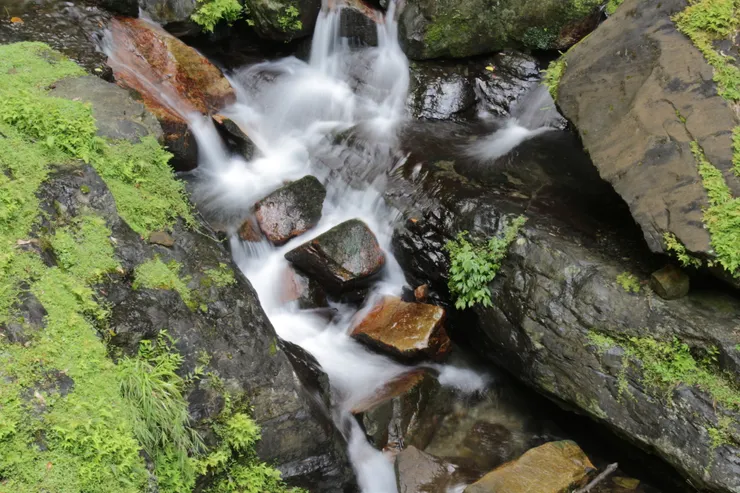 若能看懂這篇代表您懂我 