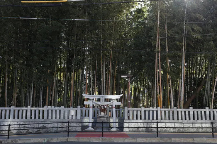 八幡不知藪（圖片來自：のみがわ）