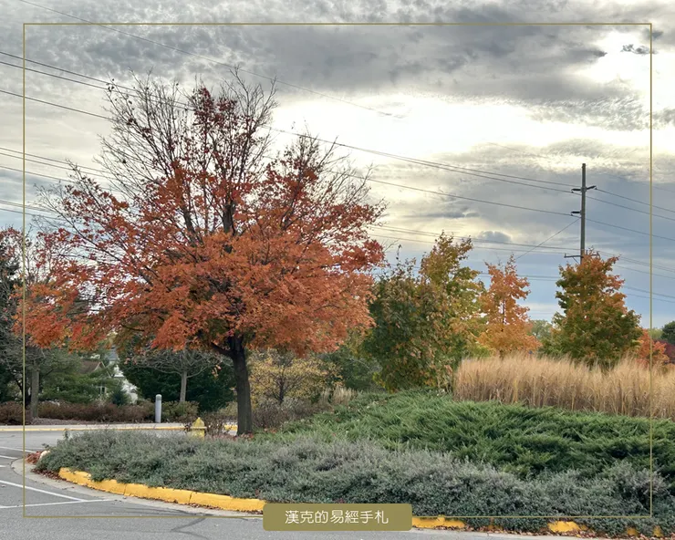 活動中心外的樹葉已悄悄染紅，葉子在風中翻飛，秋天來了。