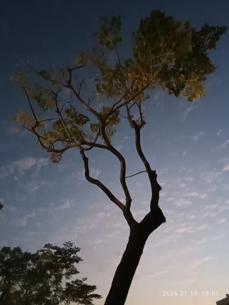 冷煙黃昏碧雲風