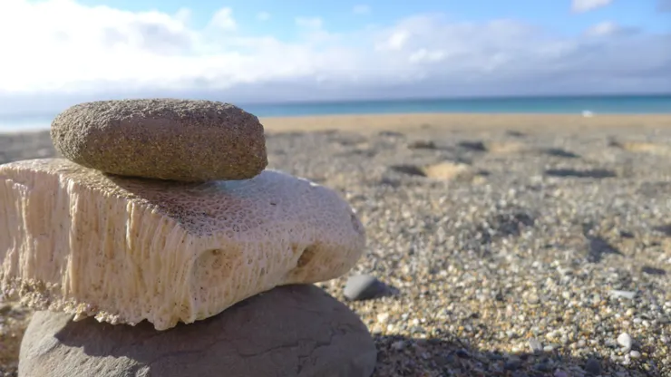 輸,從來就不應該是愛情裡的字眼