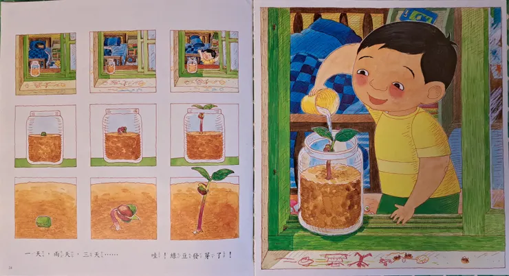 阿寶看著綠豆一天一天長大。