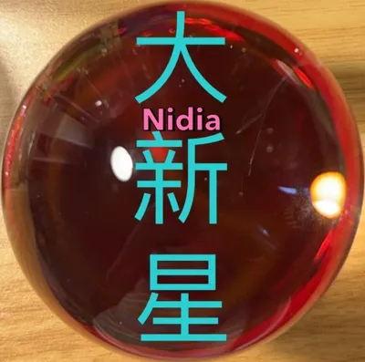 大新星Nidia的沙龍