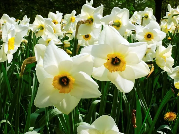 圖片出處：Bing Creative Commons
