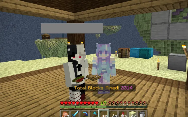 Amy Ivy 駭客一格空島生存