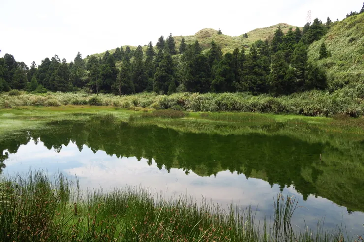 位於陽明山的夢幻湖,湖面映照出藍天白雲,清晨或午後偶有雲霧飄渺,美如其名。