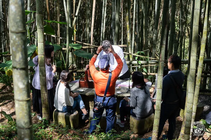 竹林茶席,瑞里茶席,瑞里茶葉,瑞里體驗,瑞里綠色隧道,綠色隧道,瑞里秘境,竹林小徑,瑞里竹林,阿里山秘境,瑞里景點,阿里山景點,嘉義景點,阿里山步道,瑞里步道