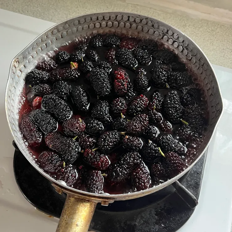 這時我還沒意識到桑葚太少，但水量差不多加到蓋過水果就行了