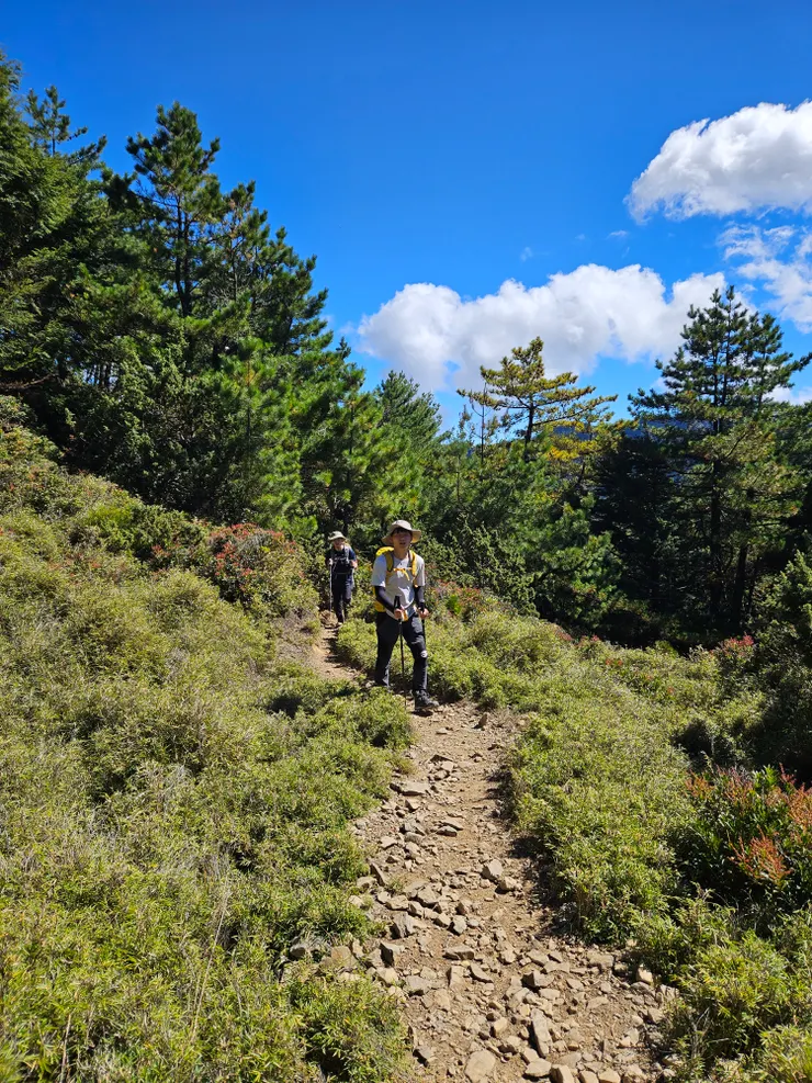 山屋到三角點中間的路