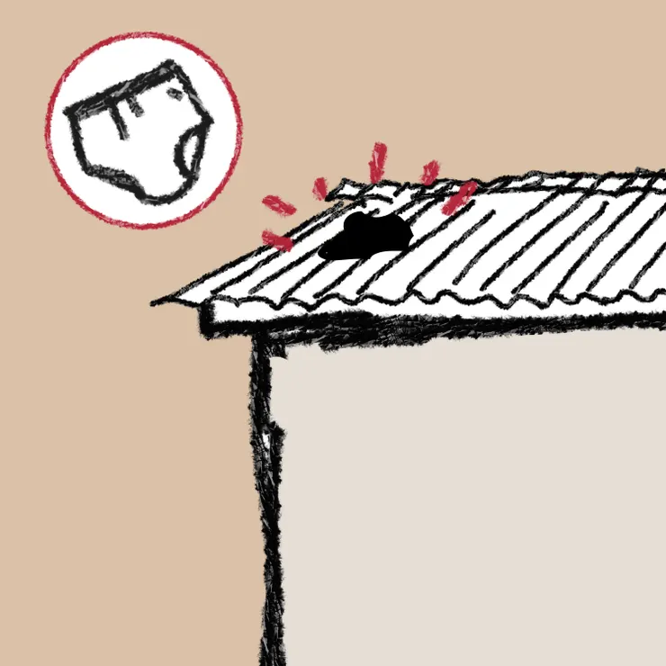 衣物穩穩地落在鋅片屋頂上。