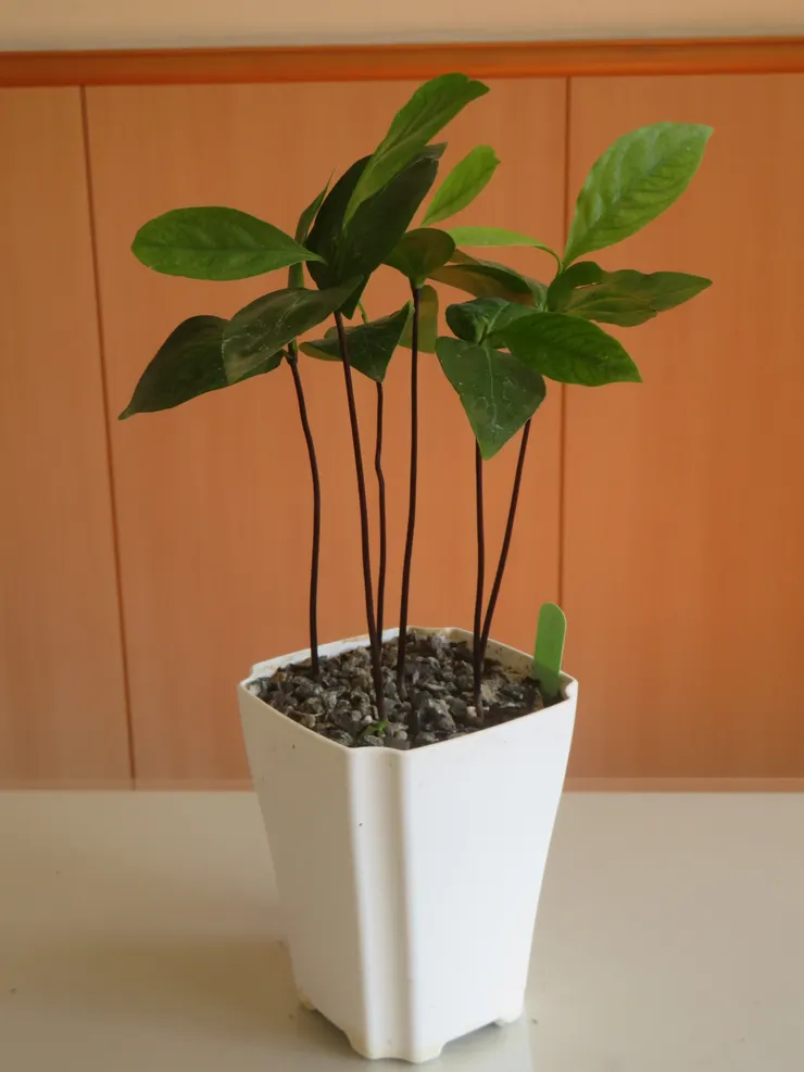 蘆洲慈濟112.12.07