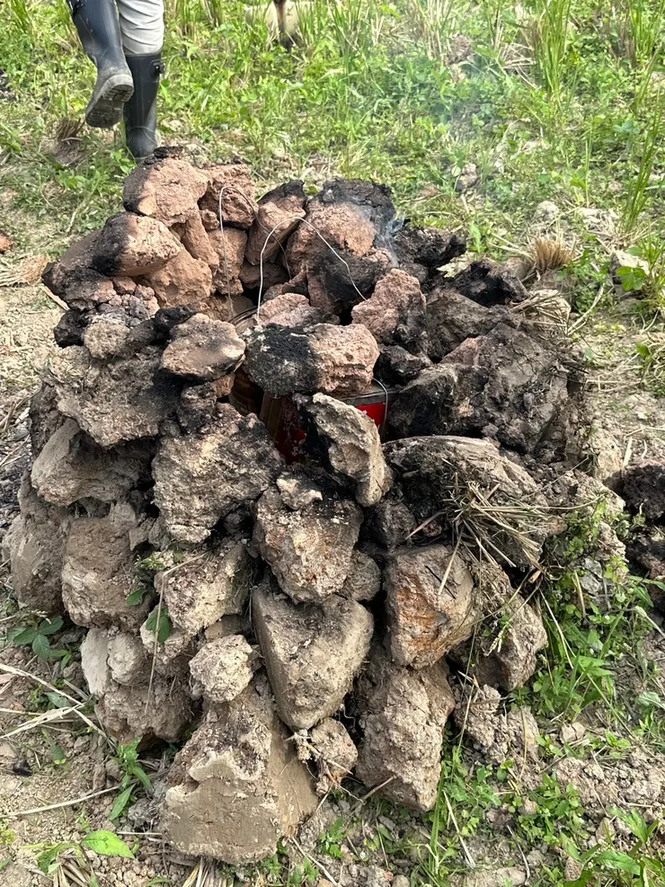 這土塊裡的亮點？