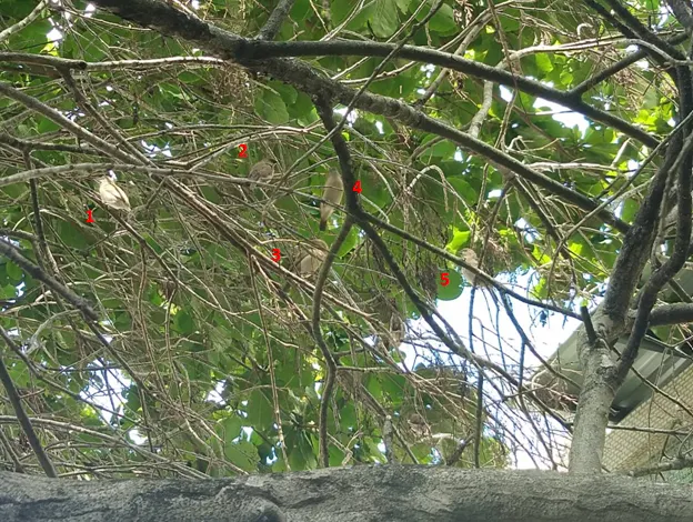 一家5口開心的生活著