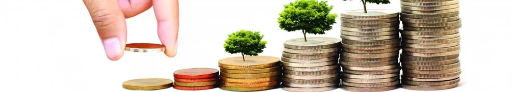 飛的玩樂投資生活的沙龍