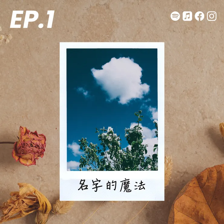 三杯半 Ep.1 名字會定義你是誰嗎？從綽號到靈魂的距離